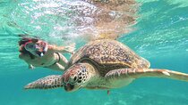 Full Day Tour to Tulum Cenote and Swim with Turtles in Akumal