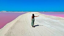 Safari in Rio Lagartos, Coloradas and Mayan Bath