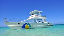Catamaran Private Group Tour
