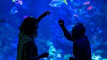 California Academy of Sciences NightLife Plus Admission Ticket 