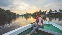 Klias River Fireflies & Wildlife Safari Cruise from Kota Kinabalu
