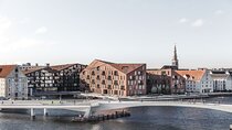 Copenhagen: Harbor Architecture Private Walking Tour