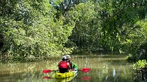 VIP Mekong Delta 1 Day Adventure Cycling & Kayaking Small Group 