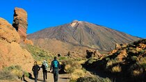 Half-day excursion to Teide National Park