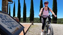 By Ebike: Visit an Art Park and Wine Taste in the Classic Chianti