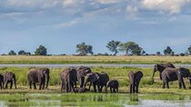 3Day Small Group Masai Mara Safari Tour 