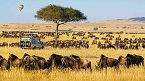 Discover Kenya Splendor: 4-Day Masai Mara & Nakuru Adventure Tour