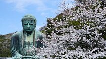 Kamakura Full Day Tour: Kotoku-in & Enoshima & Hachimangu Shrine 