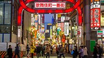 Japanese Food and Culture Experience Tour in Shinjuku Kabukicho