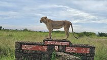 Nairobi National Park ,Beads factory and Giraffe Centre Tour