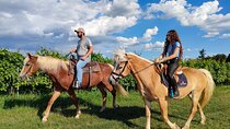Horseback Riding with wine tasting in Lake Garda vineyards