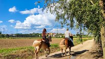 Horseback Riding with Pic Nic in Lazise Countryside