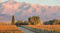 Private Winery Tour in Mendoza with Lunch and Transportation