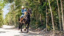 Tour Nature on horseback and cenote