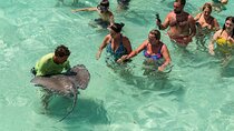 Private Tour Stingray City and One Snorkeling Stop