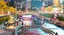 Cheonggyecheon Night Private Tour
