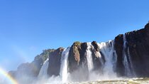 Complete Adventure through Iguaçu Park, Bird Park and Boat Tour