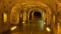Moet Chandon Champagne Cellars Tastings Private trip from Paris 