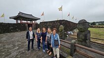 2Day Comfortable Taxi Tour with Experienced driver in jeju island