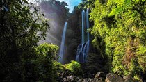 Munduk Sekumpul and Banyuwana Waterfall Trekking Tour
