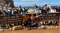 Private Tour: Cape of Good Hope and Penguins from Cape Town