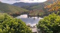 Private Tour From Porto To Douro Valley With River Boat Ride 