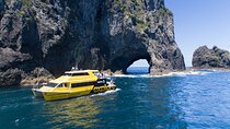 Bay of Island Day Tour with Hole in the rock cruise from Auckland