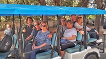 Tour Private a Roma In Golf Cart With a Local & GELATO or wine