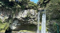 Small Group Tour in South Jeju Healing Island w/Mt. Halla & Falls