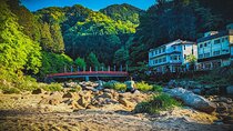 Nagoya: all-inclusive car tour to Korankei valley