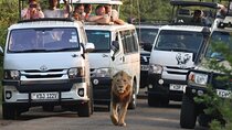 Maasai Mara Day Trip