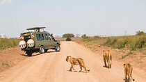 9 Days African Wild Safari and Beach Tour
