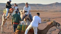From Marrakech: Agafay desert sunset Full Package & live show