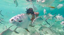 Punta Cana Coral Reef Restoration & Snorkelling Experience