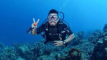Diving Experience in Cartagena with all Incluided