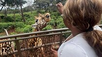 Giraffe Centre and Bomas of Kenya from Nairobi