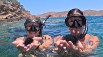 Private 1-Hour Guided Snorkeling Adventure with Go Pro Pictures 