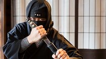 From Nagoya: Myths and Mystery of Ninja and the Tokaido Road