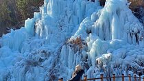 Eobi Ice Valley Nami Island and Gangchon Rail Park Seoul