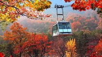 Autumn Foliage-Mt. Seorak, Sokcho Fish Market, Sokcho Beach