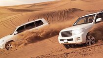 Desert Safari In Dubai With BBQ Dinner, Dune Bashing Ride