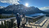Lake Louise Peyto Lake Bow Lake Crowfoot Glacier Half Day Tour