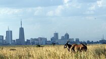 Day Tour at Nairobi National Park and Giraffe Centre