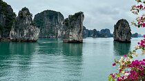 Discover Bai Tu Long Bay on an Overnight Cruises
