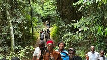 Kakum National Park and Cape Coast Castle Private Tour