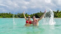 Saona Island Tour From Santo Domingo with Lunch, Open Bar, Pickup