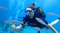2 Guided Scuba Dives in Alanya with Lunch & Hotel Transfers