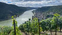 The Fairytale Rhine Valley Castle Tour 