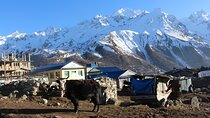 Langtang Valley Trek – 8 Days Adventure from Kathmandu