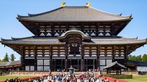  Nara and Kyoto 1-Day Bus Tour